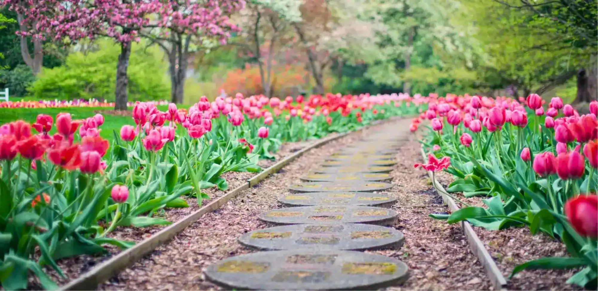 Diseño e instalación de caminos y senderos en jardines exteriores, utilizando productos y servicios para jardinería.