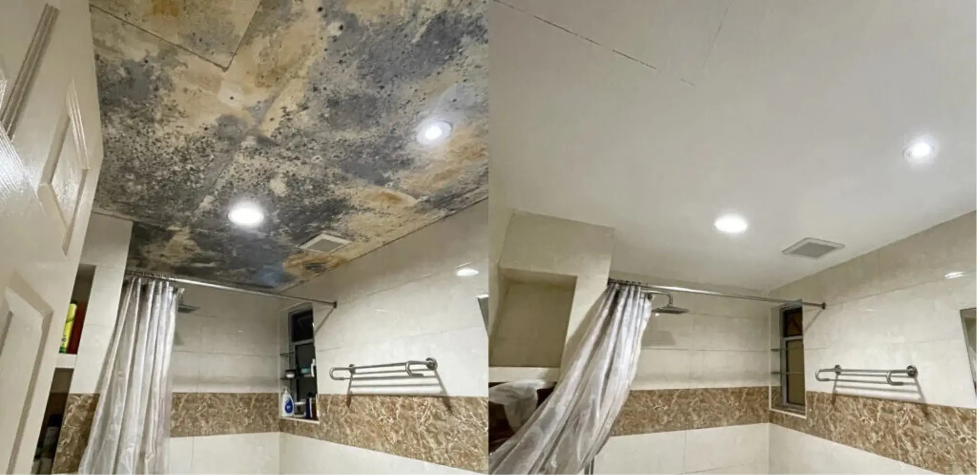 Limpieza y tratamientos antihumedad para techos interiores y exteriores, protección contra humedad en soluciones para techos.