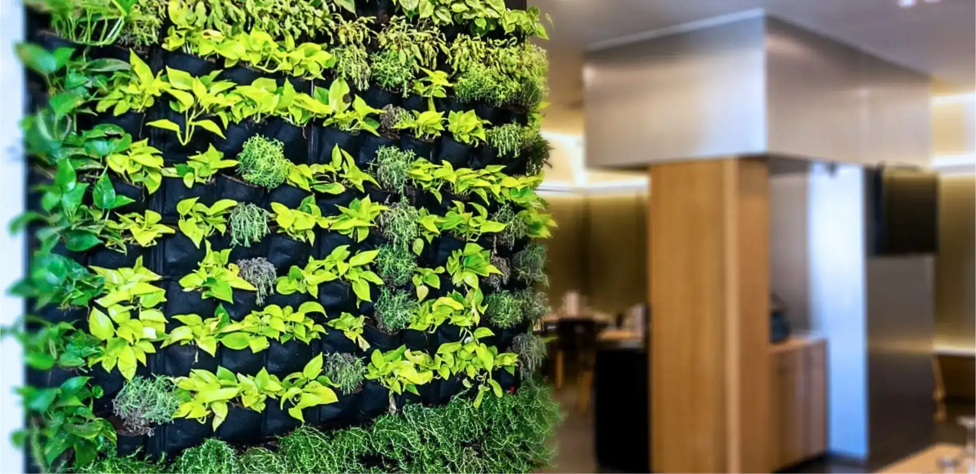 Paredes verdes para interiores y exteriores, naturaleza integrada en el diseño con nuestros productos y servicios para paredes.