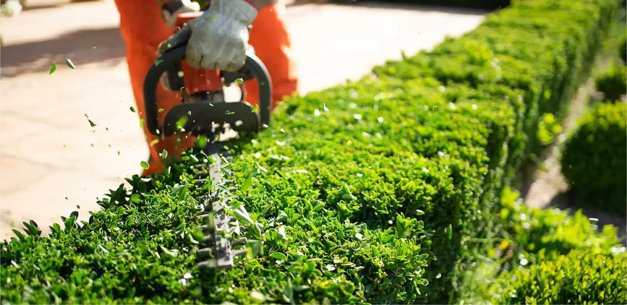 Poda y mantenimiento de jardines, servicio de cuidado profesional para exteriores, utilizando productos y servicios para jardinería.