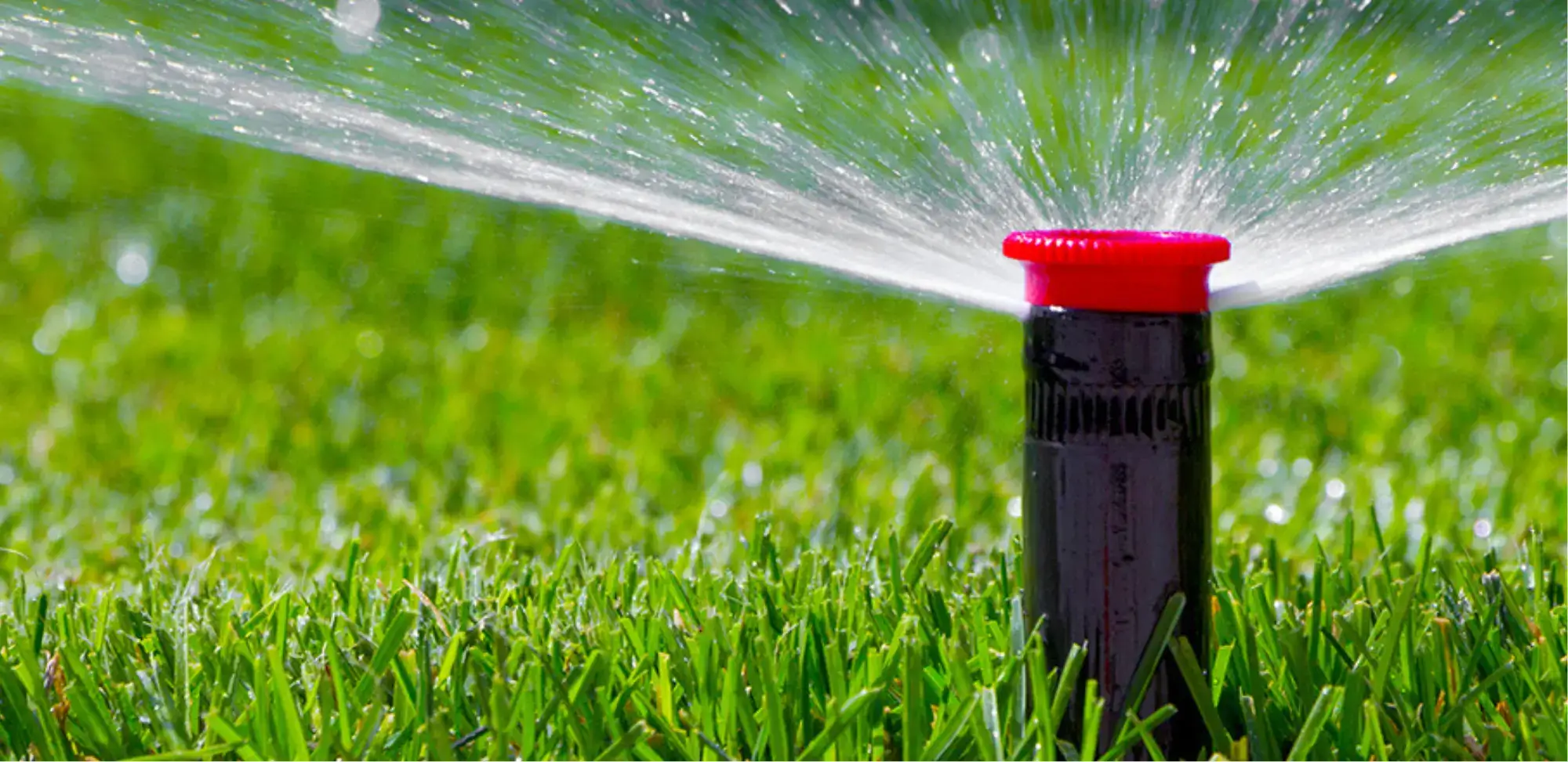 Sistemas de riego automatizado, servicios de instalación y mantenimiento, con productos y servicios para jardinería.
